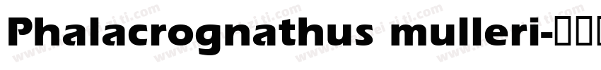 Phalacrognathus mulleri字体转换